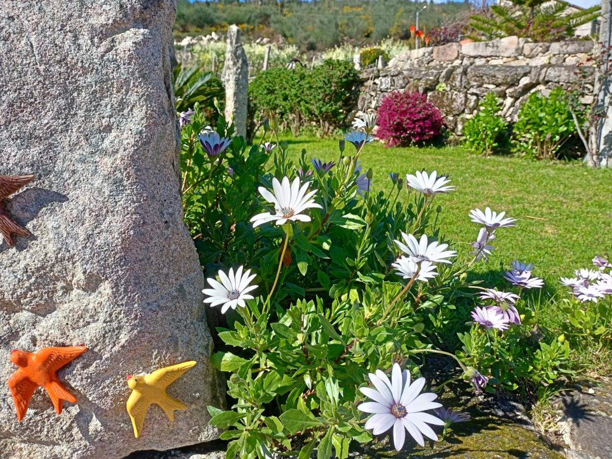 Penzion Jardim Da Rosa Monção Exteriér fotografie