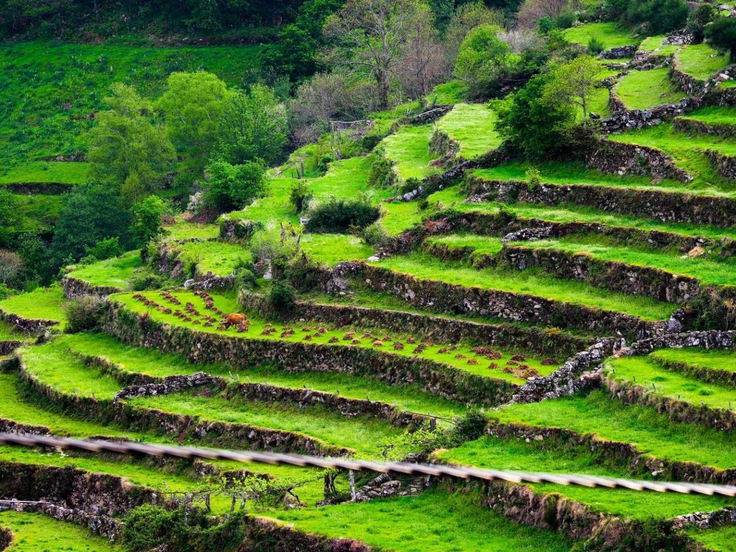 Penzion Jardim Da Rosa Monção Exteriér fotografie